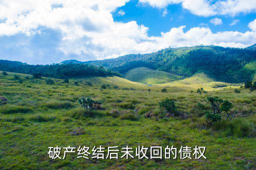 未收債權(quán)是什么意思，破產(chǎn)終結(jié)后未收回的債權(quán)