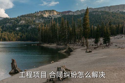 項目合同簽署模糊具體實(shí)施出現(xiàn)分歧怎么處理