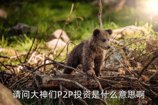 什么是p2p投資，請問大神們P2P投資是什么意思啊