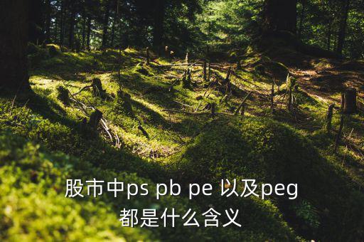 股市peg是什么意思，請問在股市里的PEG是什么意思和股價(jià)的關(guān)系怎樣多謝