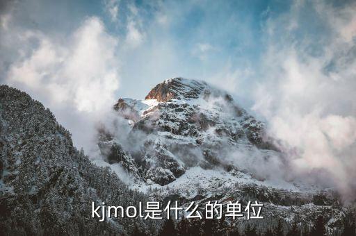 金馬甲是什么，什么是Singleton