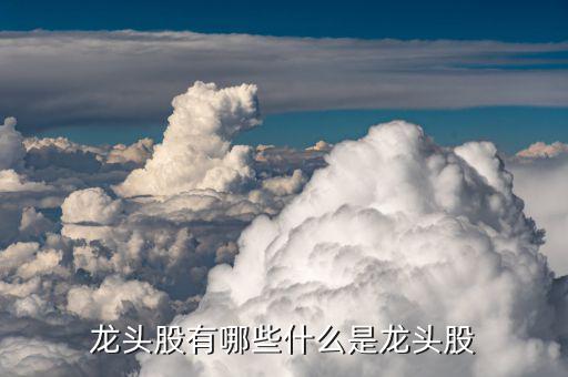 金馬股份怎么樣,部分熱門板塊的龍頭股介紹:比亞迪、金馬股份