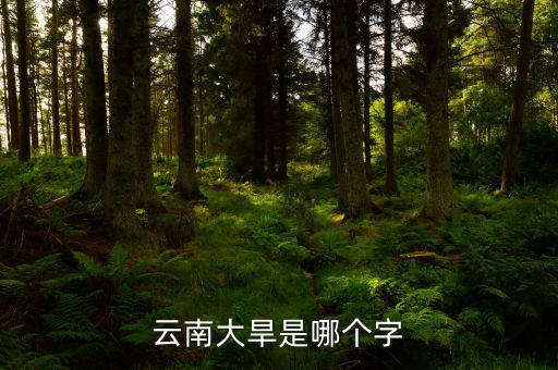 云南大旱是個什么字，云南大旱是哪個字