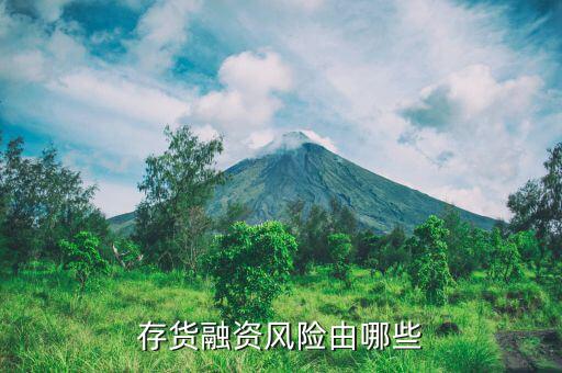 存貨類(lèi)融資包括什么，結(jié)構(gòu)融資的分類(lèi)