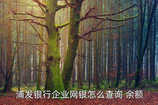 浦發(fā)銀行離岸怎么看余額,如何在網上查詢余額?