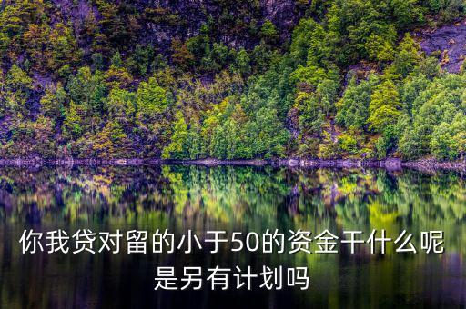 你我貸為什么我要投2萬才能減50，你我貸對(duì)留的小于50的資金干什么呢是另有計(jì)劃嗎