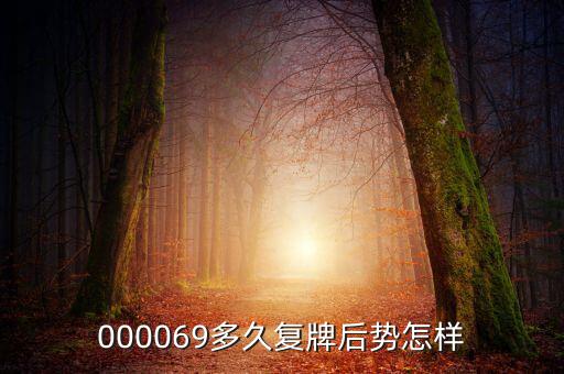 大洲興業(yè)什么時(shí)候復(fù)牌，000560各位大神知道啥時(shí)候復(fù)牌