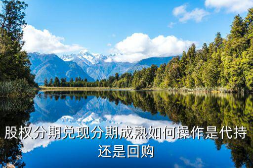 什么叫股權成熟期，VCPE什么意思