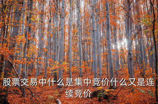 集合競(jìng)價(jià)是什么意思，股票交易中什么是集中競(jìng)價(jià)什么又是連續(xù)競(jìng)價(jià)