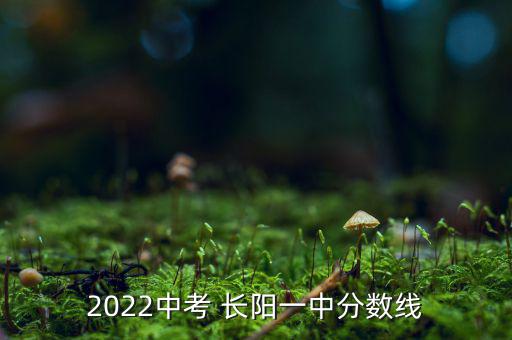 2022中考 長(zhǎng)陽一中分?jǐn)?shù)線