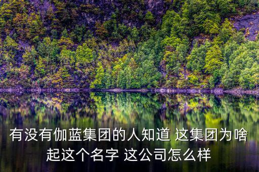 伽藍(lán)集團(tuán)為什么不上市，伽藍(lán)集團(tuán)是一家什么企業(yè)