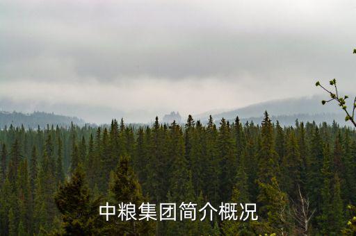 中糧什么時候開始做大米的，中糧集團簡介概況