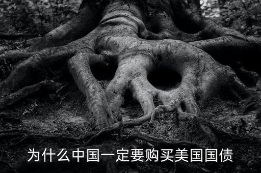 中國為什么買美國的國債，中國為什么要買那么多美國國債能不能說得通俗一點我不太懂經(jīng)濟