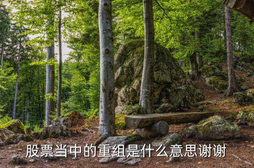 什么是重組，重組在電腦術語中什么意思
