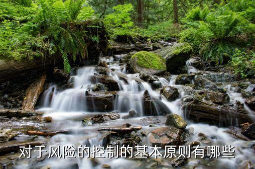 風險管理的原則是什么，風險分配應遵循哪些基本原則