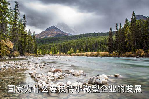 國家為什么要鼓勵小微企業(yè)的發(fā)展，國家為什么要扶持小微型企業(yè)的發(fā)展