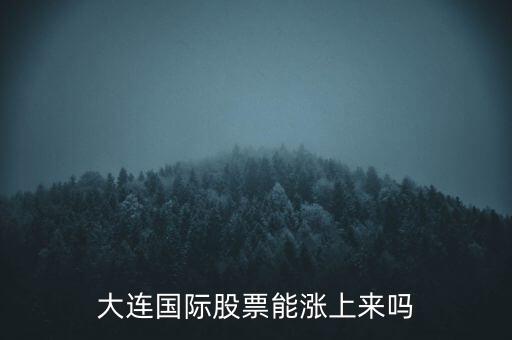 大連國際什么時候漲，大連國際股票能漲上來嗎