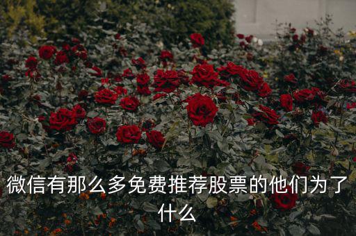 免費(fèi)股票為什么，微信有那么多免費(fèi)推薦股票的他們?yōu)榱耸裁?/></a></span><span id=