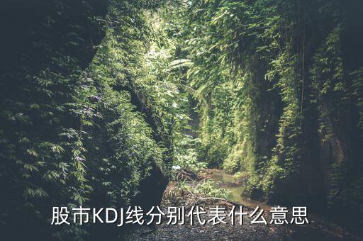 股票中的kdj代表什么，股票指標(biāo)的KDJ是什么意思