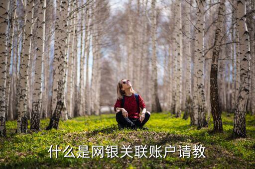 網銀互聯賬戶是什么意思，什么是網銀關聯賬戶請教