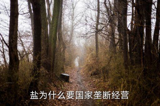 鹽為什么要國家壟斷經(jīng)營(yíng)