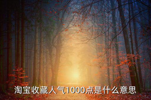1000點(diǎn)2000點(diǎn)什么意思，加拿大簽證中1000 2000什么意思