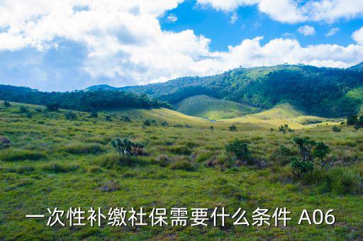 什么情況可以一次性補(bǔ)交社保，一次性補(bǔ)繳社保需要什么條件 A06