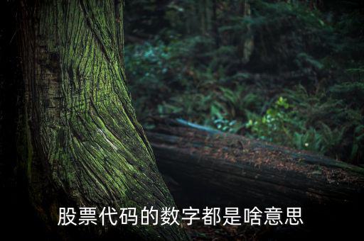股票名稱下面的數(shù)字是什么，請教高手股票名稱后面的那些數(shù)字代表什么意思