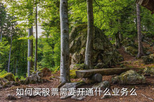 買(mǎi)股票到銀行開(kāi)通什么業(yè)務(wù)，炒股票需要什么銀行卡銀行卡要開(kāi)通什么