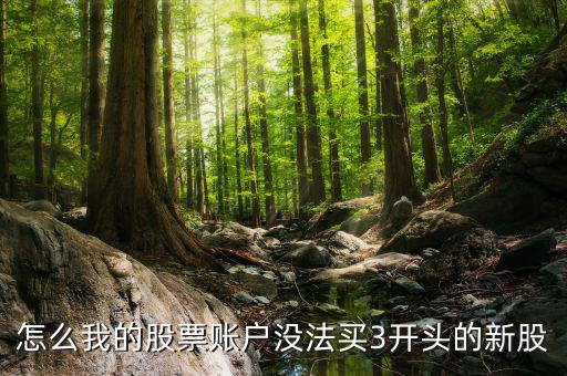 3開頭的股票為什么不能買，請問新開戶的股民為什么不能買3字開頭的股票