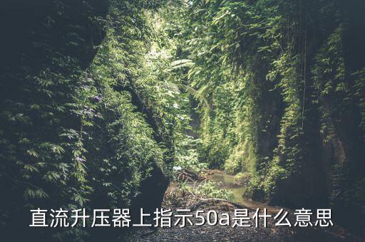 上證50a什么意思，招商央視財(cái)經(jīng)50a后面的a什么意思