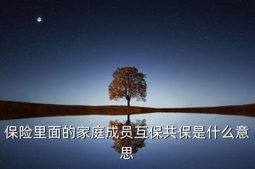什么是共同被保險(xiǎn)人，保險(xiǎn)里面的家庭成員互保共保是什么意思