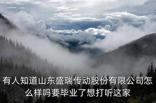 盛瑞企業(yè)是干什么的，南京銳盛互聯(lián)網(wǎng)科技有限公司主要是做什么的