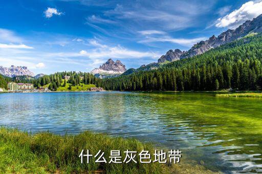 什么是項目灰色地帶，什么是灰色地帶