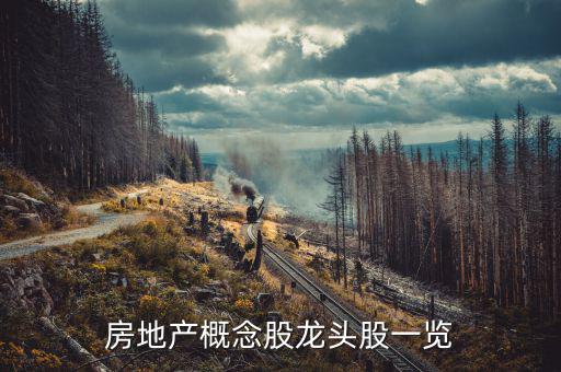 地產(chǎn)業(yè)有什么股票，房地產(chǎn)股票有哪些