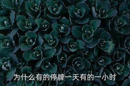 什么情況下停牌一小時(shí)，當(dāng)日委托幾點(diǎn)起有效要是停牌一小時(shí)幾點(diǎn)開(kāi)始