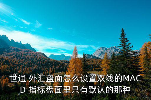 世通 外匯盤(pán)面怎么設(shè)置雙線的MACD 指標(biāo)盤(pán)面里只有默認(rèn)的那種