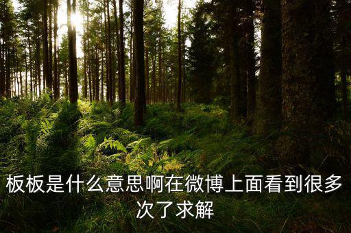 要板了是什么意思，板板是什么意思啊在微博上面看到很多次了求解
