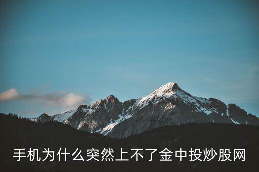 為什么不能用金航線炒股，中航證券的金航線手機版為什么不能申購新股