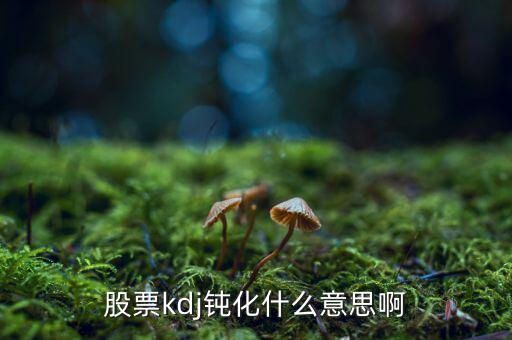 什么是kd高檔鈍化，KDJ鈍化是什么意思