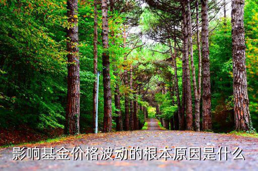 影響價(jià)格波動(dòng)的最根本因素是什么，影響價(jià)格波動(dòng)的最根本因素是什么證券投資學(xué)