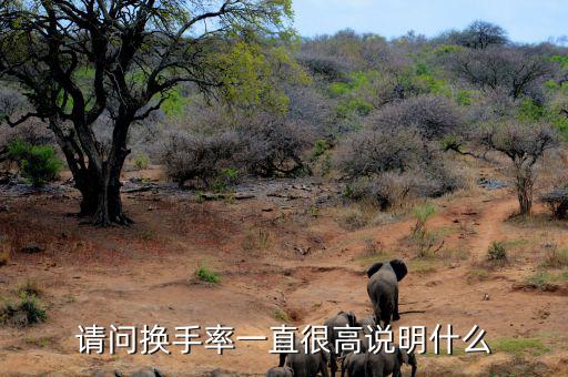 換手率持續(xù)高說明什么，新股換手率高說明什么