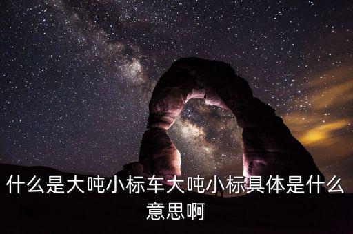 非標(biāo)轉(zhuǎn)標(biāo)是什么意思，上角標(biāo)a是什么意思