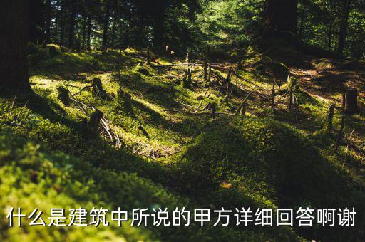 為什么說(shuō)mint是甲方，MINTS DOUBLEMINT是什么意思