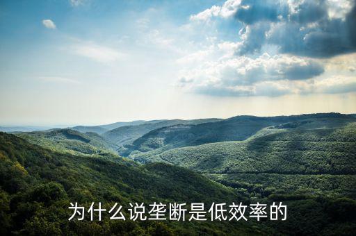 壟斷的無效率是什么，為什么說壟斷會(huì)導(dǎo)致低效率
