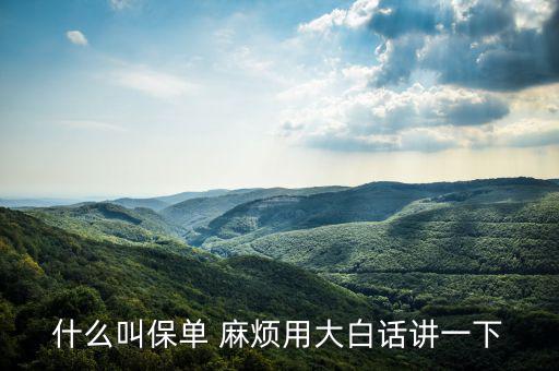 什么是保單，什么是保單