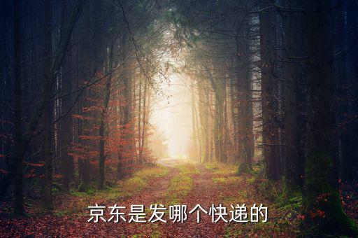 京東自營是發(fā)什么快遞，京東的自營產(chǎn)品一般發(fā)什么物流先謝謝大家了