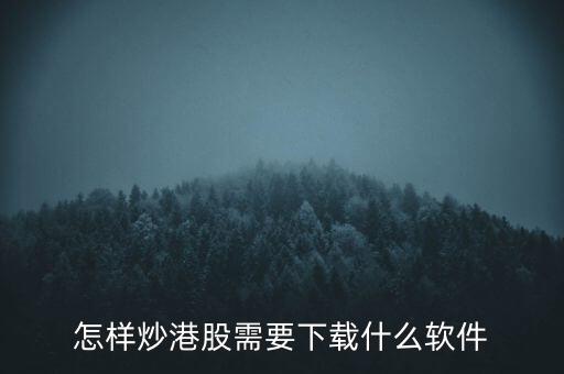 港股資金進出用什么軟件，現(xiàn)在內(nèi)地的炒股滬港通用什么軟件