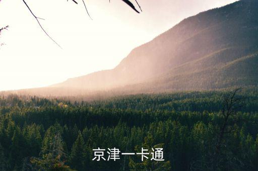京津冀公交卡一體卡是什么樣子的，在北京辦的藍(lán)色的公交卡是可以在石家莊所有公交用了嗎還是說(shuō)京津