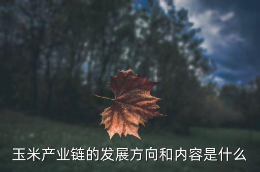 玉米的產(chǎn)業(yè)鏈?zhǔn)鞘裁?，玉米產(chǎn)業(yè)鏈的發(fā)展方向和內(nèi)容是什么